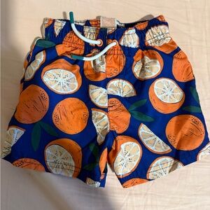 Vibrant Orange and Blue Citrus Print Swim Shorts